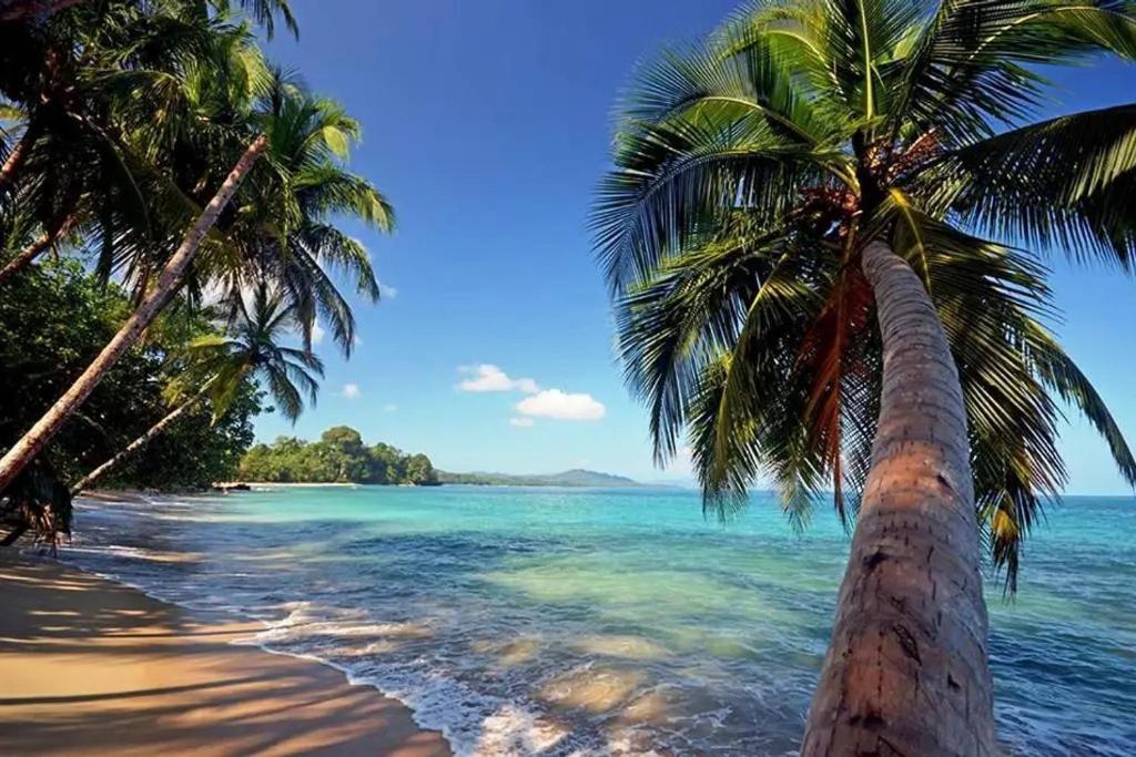 Roca Mar Rocawelch Puerto Viejo Aparthotel Puerto Viejo de Talamanca Buitenkant foto